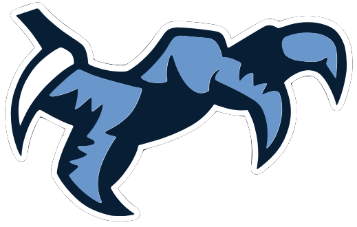 Chapin High School